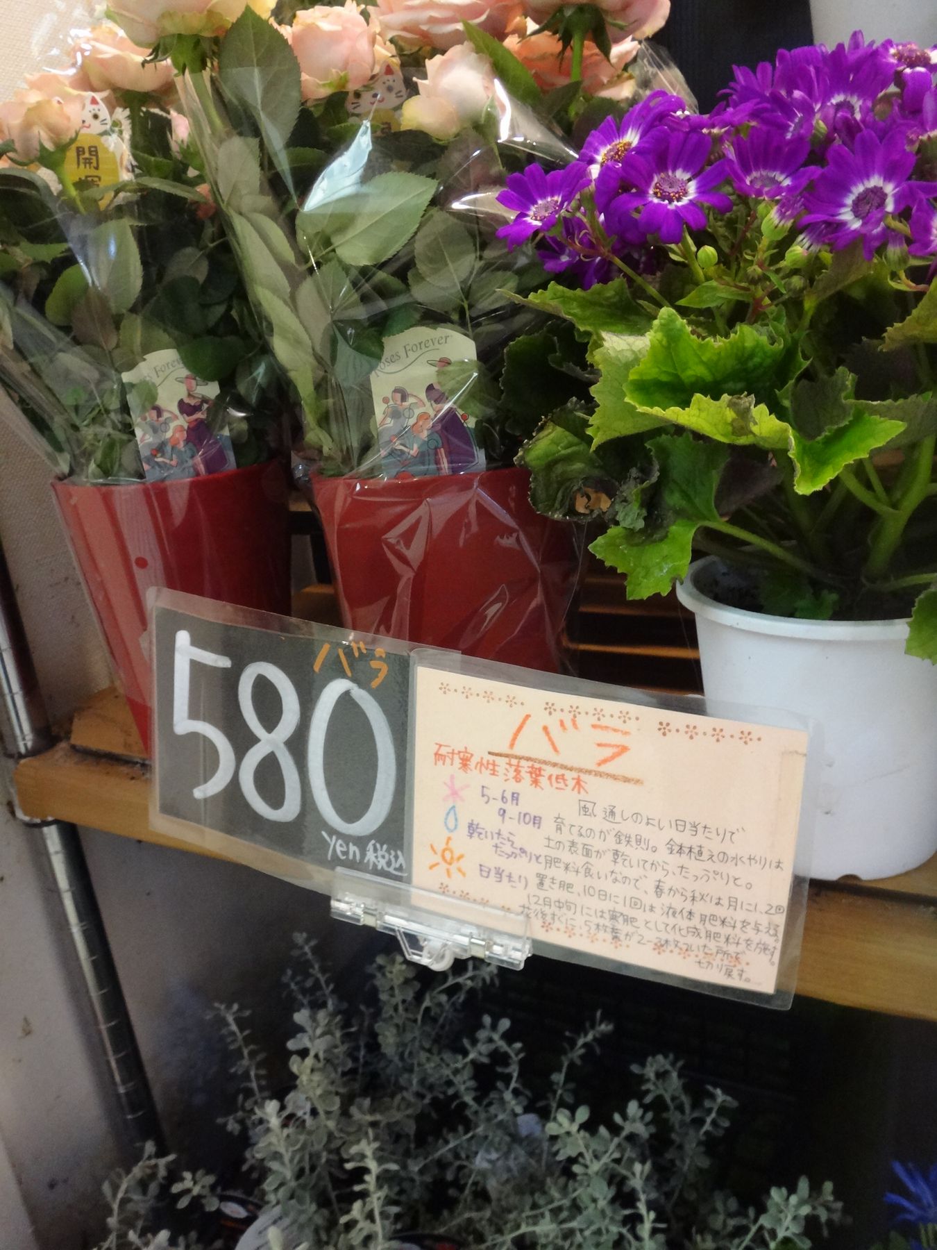 年始の花屋 あなたならどうする 予祝風水マーケッター 伊藤匠blog